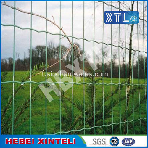 Green Holland Wire Mesh Fence